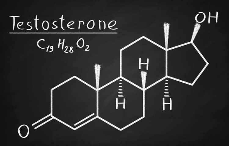Что такое тестостерон?